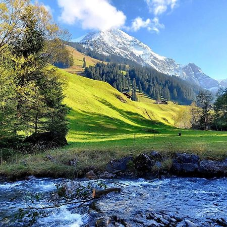 Apartment Laerchehuus By Interhome Adelboden Dış mekan fotoğraf