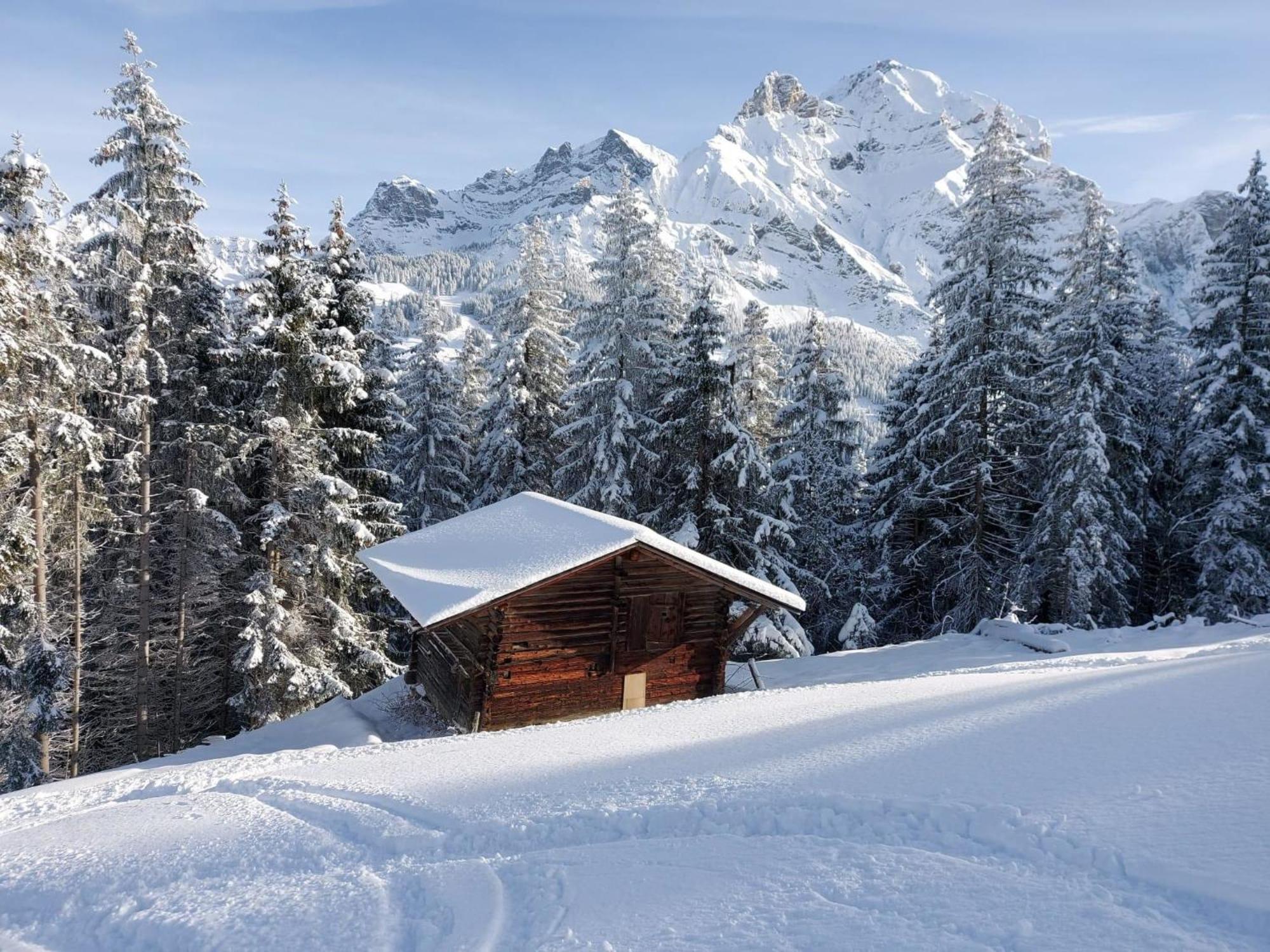 Apartment Laerchehuus By Interhome Adelboden Dış mekan fotoğraf