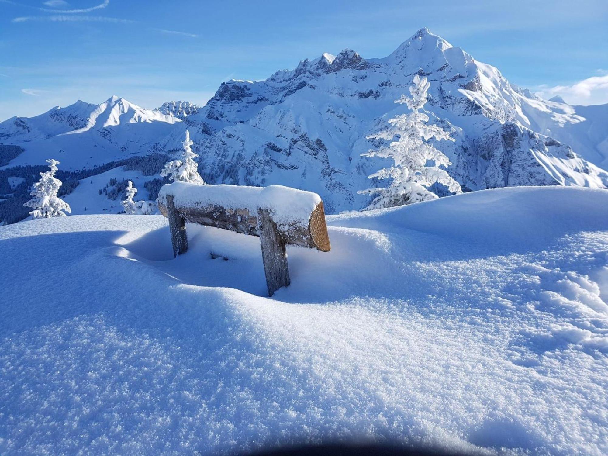 Apartment Laerchehuus By Interhome Adelboden Dış mekan fotoğraf