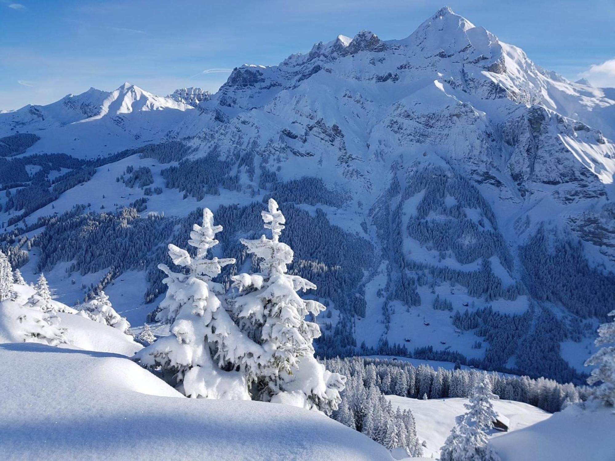 Apartment Laerchehuus By Interhome Adelboden Dış mekan fotoğraf