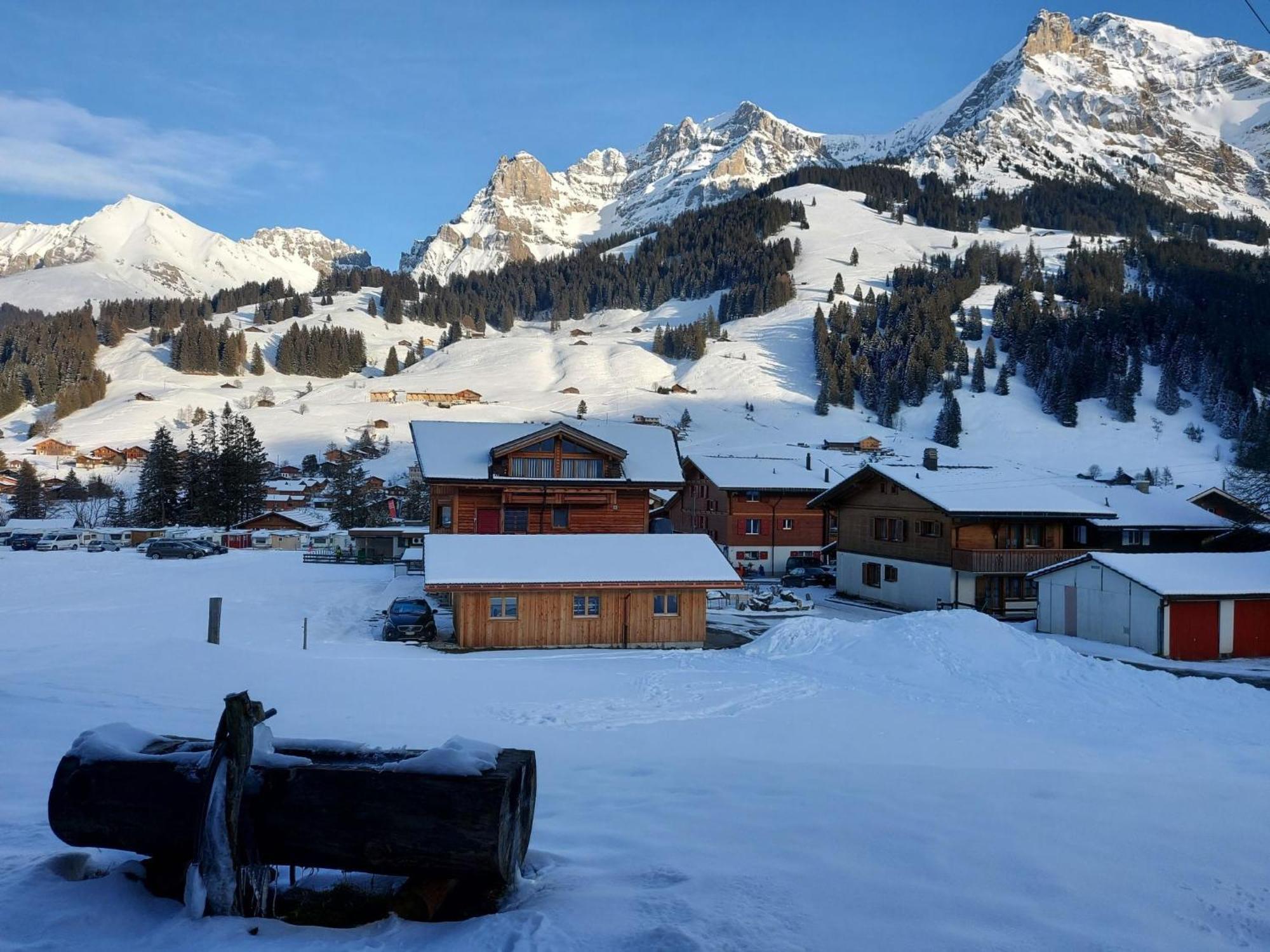 Apartment Laerchehuus By Interhome Adelboden Dış mekan fotoğraf