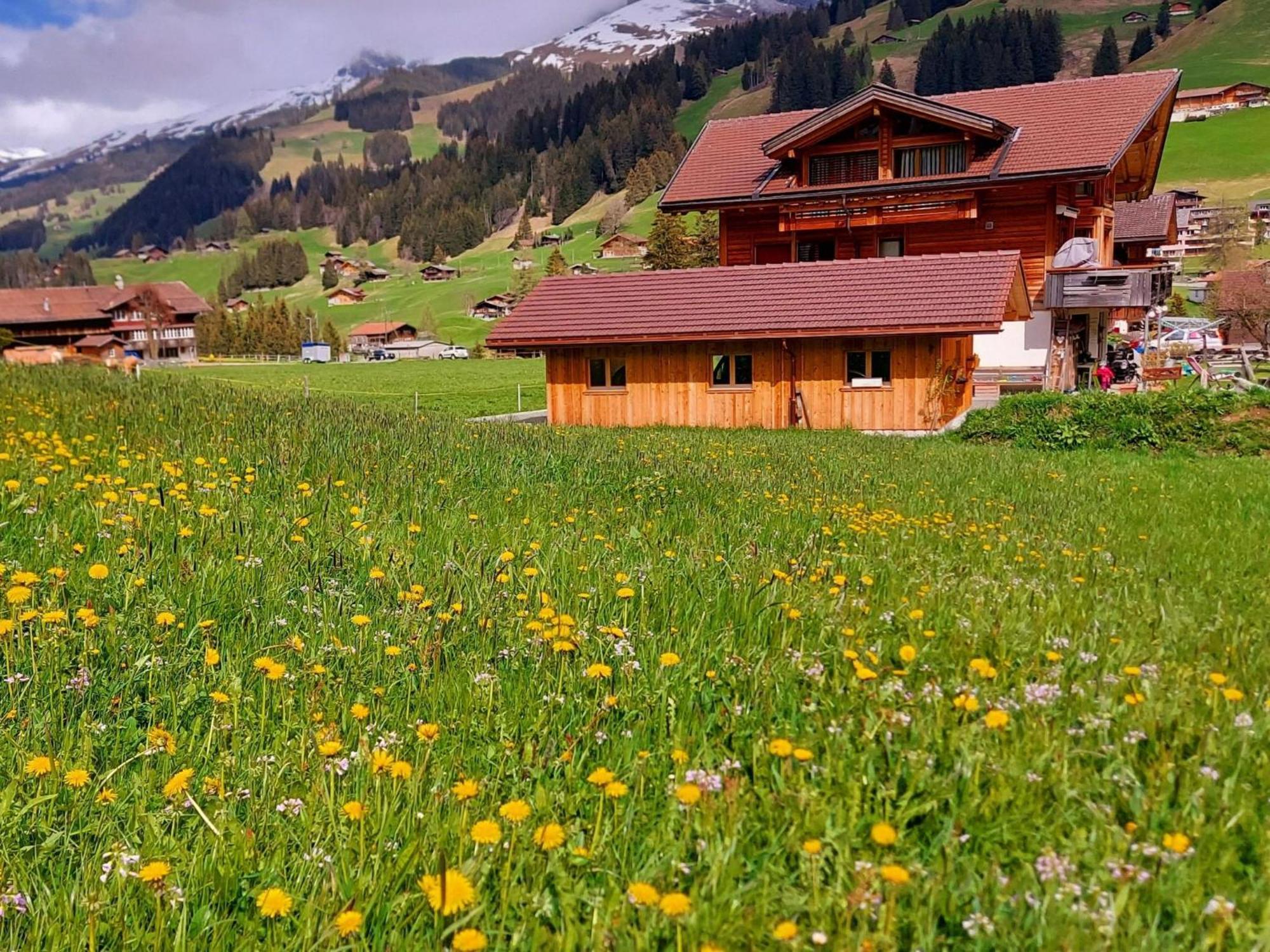 Apartment Laerchehuus By Interhome Adelboden Dış mekan fotoğraf